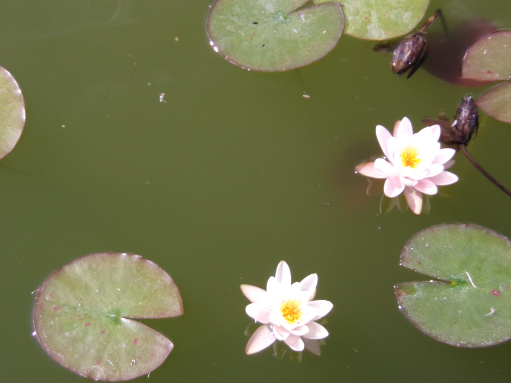 I Will Birth My Guilt and She Will Birth Hers&nbsp;Too